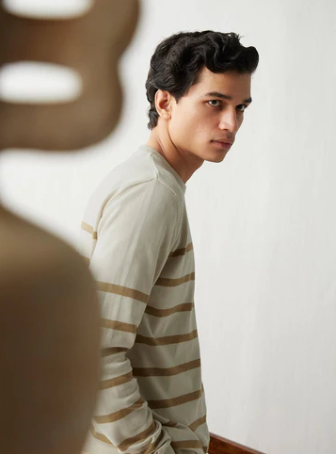 Bronze Stripe Pullover